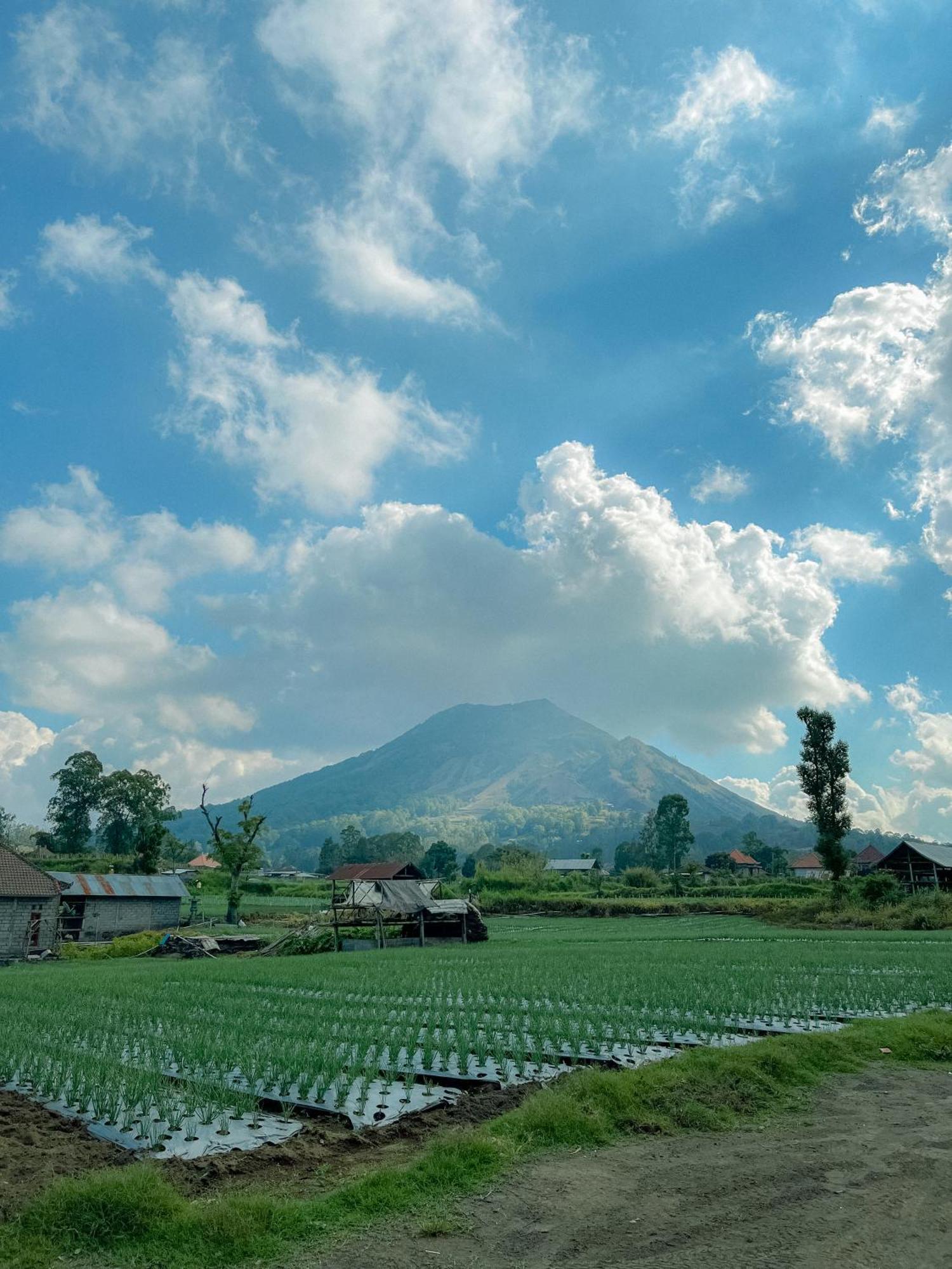 Volcano Garden Kubupenlokan Luaran gambar